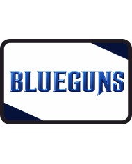 BLUEGUNS